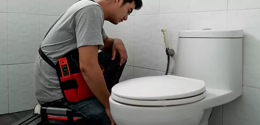 Toilet Repair in Englewood